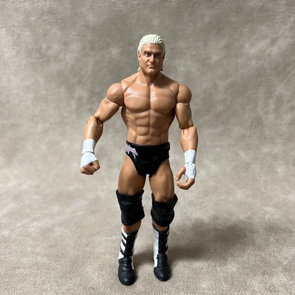 WWE Dolph Ziggler Action Figure, Wrester 2011 Mattel - Picture 1 of 4